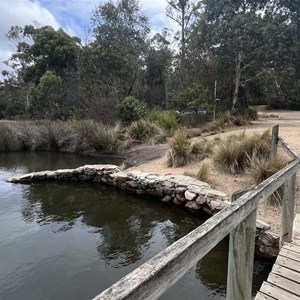 Scamander Regional Reserve Trout Creek Campground