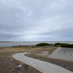 Scamander Skate Park