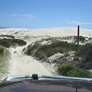 Guideposts on 4WD track