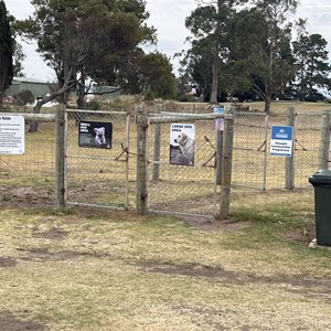 Dog Exercise area