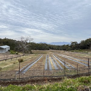 Kates Berry Farm