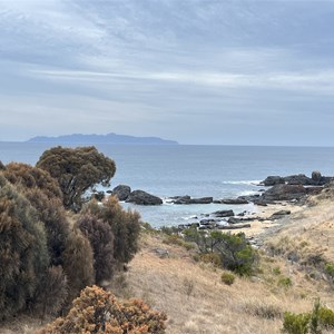 Spiky Beach