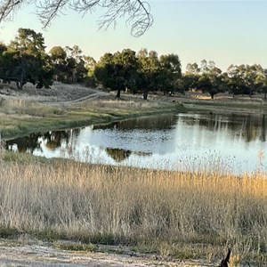 Serviceton Reservoir Free Camp