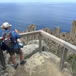 Seal Lookout