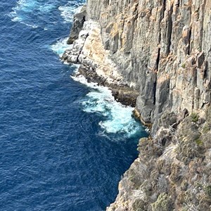 Seal Lookout