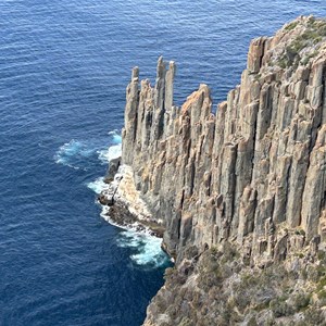 Seal Lookout