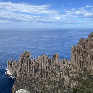 Seal Lookout