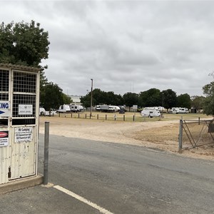 Murray Bridge Showgrounds RV Camping