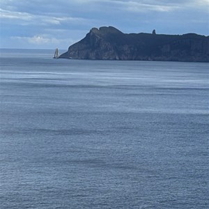 Cape Hauy Lookout