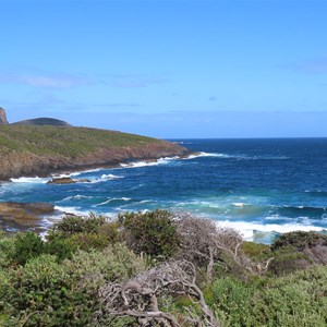 Brilliant on a sunny day