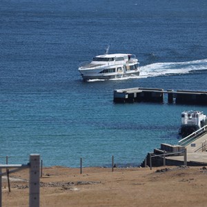 Darlington Jetty (Maria Island)