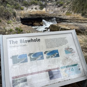 Blowhole