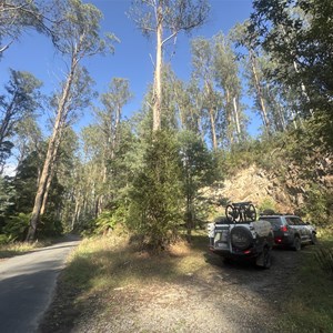 Cliff Face Camp