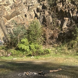 Cliff Face Camp