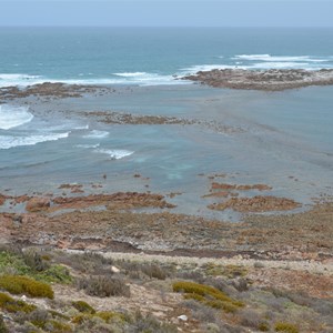 Daly Head