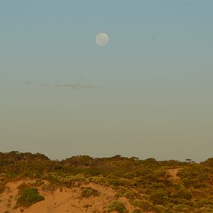 Browns Beach 