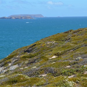 Off Shore Island Views