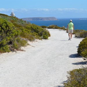 Path leading to Cape Spencer Lighthouse