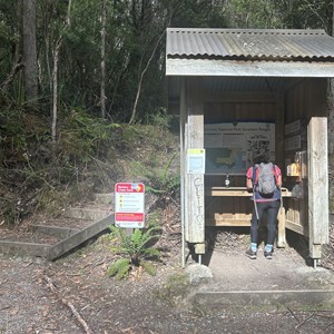 Mystery Creek Cave Track