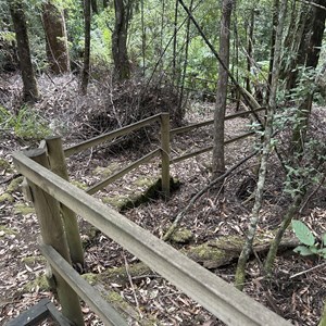 Adamsons Peak Track