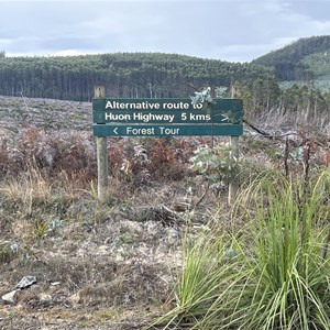 Creekton & Darcy Link Junction