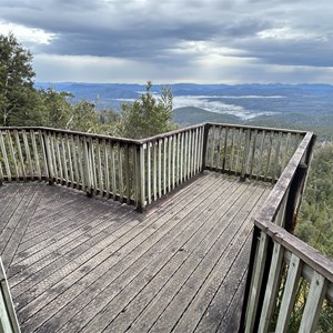 Waratah Lookout