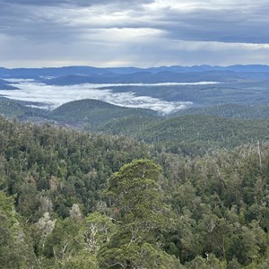 Waratah Lookout