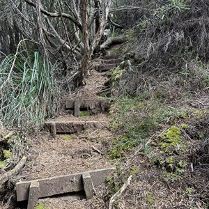 Mount Sprent Trail