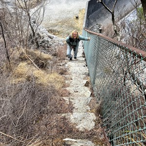 Mount Sprent Trail