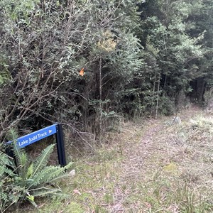 Lake Judd & Redtape Creek Trailhead & Carpark