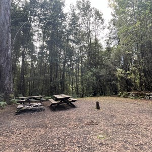 Huon Camp