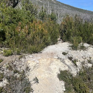 The Needles Trail