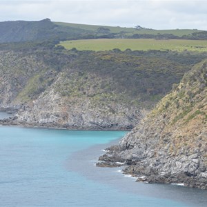 Scott Cove