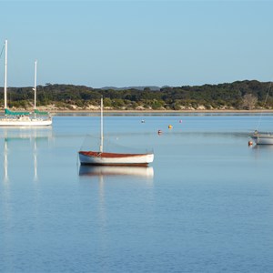 American River