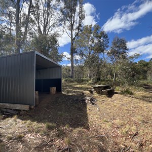 Tasman Trail Campsite