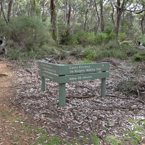 Kelly Hill Caves