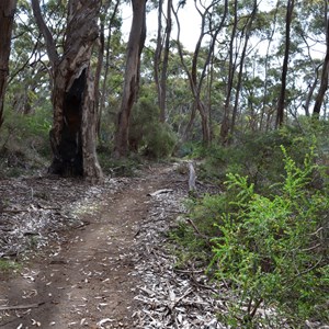 Kelly Hill Caves