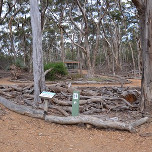 Kelly Hill Caves