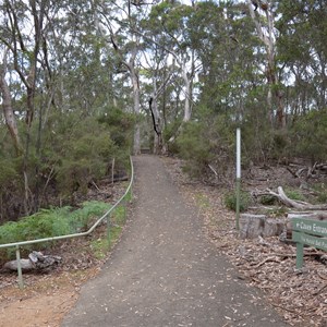 Kelly Hill Caves