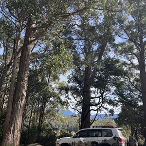 Westmorland Falls Trailhead