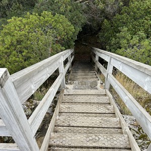 Liffey River Track & Lookout