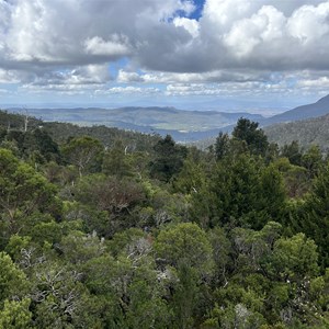 Liffey River Track & Lookout