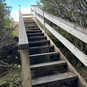 Liffey River Track & Lookout