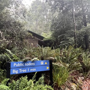 Upper Liffey Falls Carpark & Day Use Area