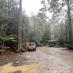 Upper Liffey Falls Carpark & Day Use Area