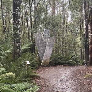 Upper Liffey Falls Carpark & Day Use Area