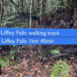 Upper Liffey Falls Carpark & Day Use Area