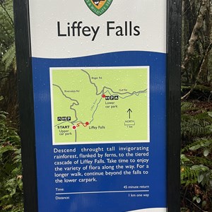 Upper Liffey Falls Carpark & Day Use Area