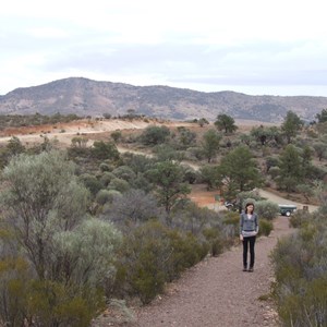 Buckaringa Gorge lookout trail