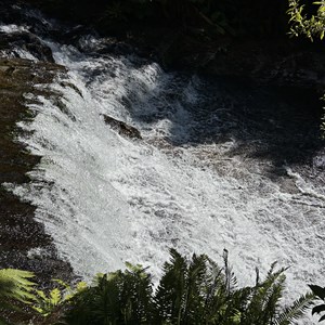 Liffey Falls Upper Cascades